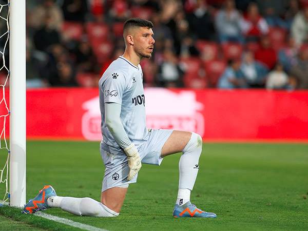 מעוניין בהצעה (אלן שיבר)