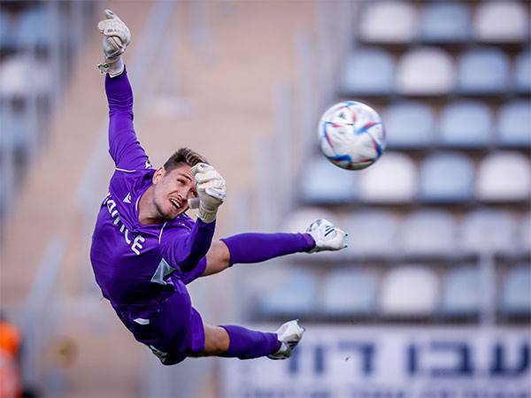 עובר לקפריסין. בקר (מאור אלקסלסי)