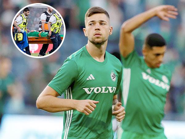 (מאור אלקסלסי)