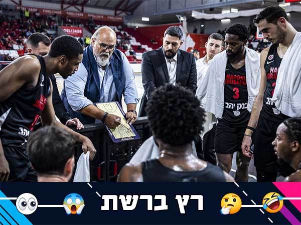 (אלן שיבר)