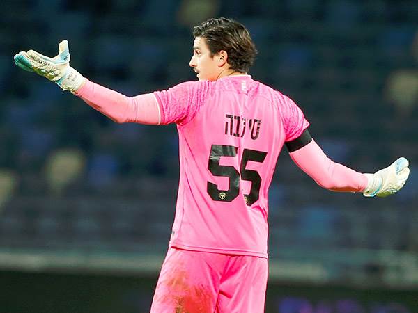 יחזור להרכב. סילבה (אלן שיבר)