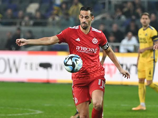 (ברני ארדוב)