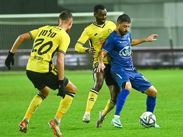 (ברני ארדוב)