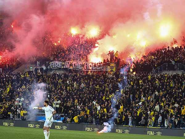 כר הדשא בטדי בעבר (דני מרון)