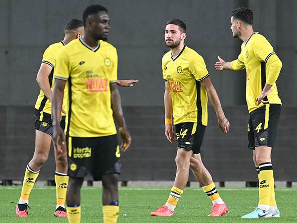 (ברני ארדוב)