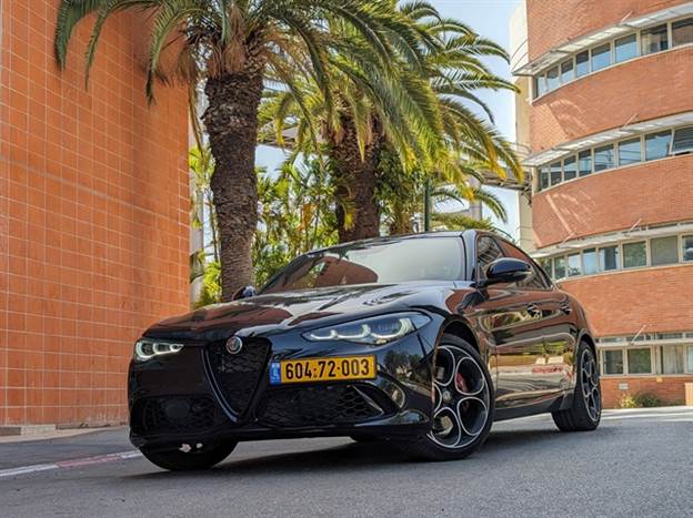 צילום: רן סגל