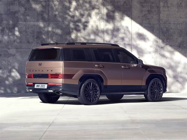 צמיחה בממדים כמעט מכל כיוון