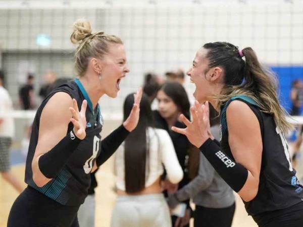 קרדיט: אל פאר