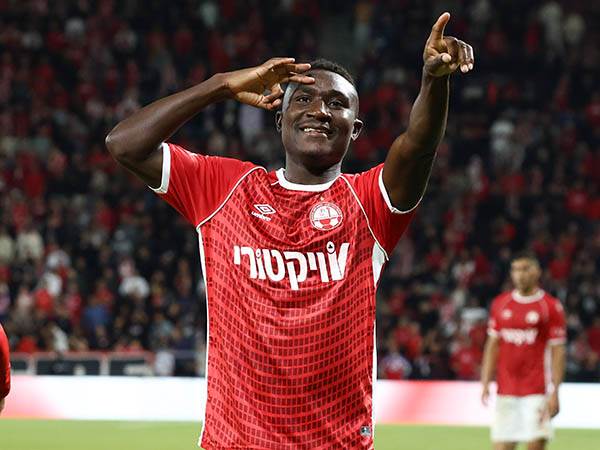 (צילום: אלן שיבר)