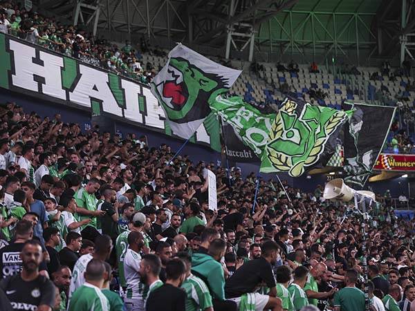 (מאור אלקסלסי)