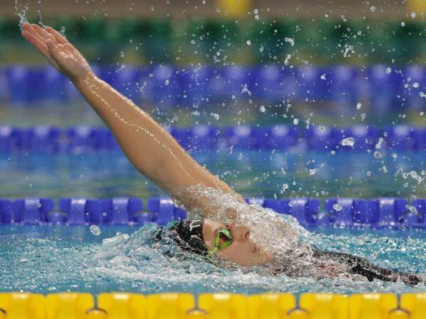 (באדיבות - גלעד קוולרצ׳יק)