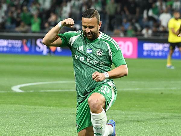 (מאור אלקסלסי)