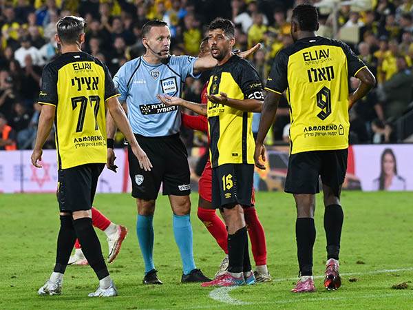 (ברני ארדוב)