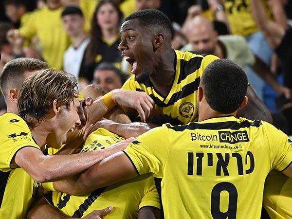 (ברני ארדוב)