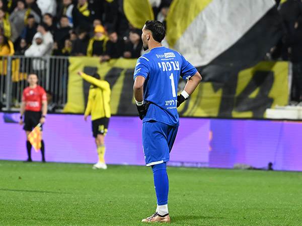 (ברני ארדוב)