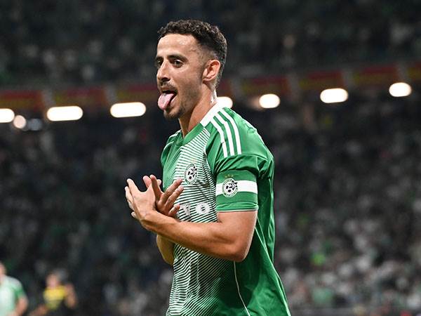 (ברני ארדוב)