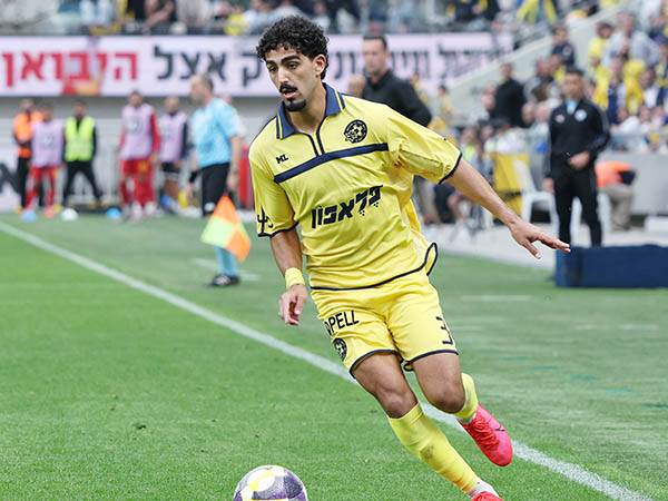 שני בישולים שלו. רביבו (אלן שיבר)