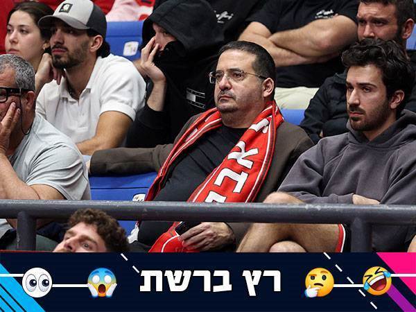 (אלן שיבר)