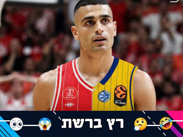 (אלן שיבר)