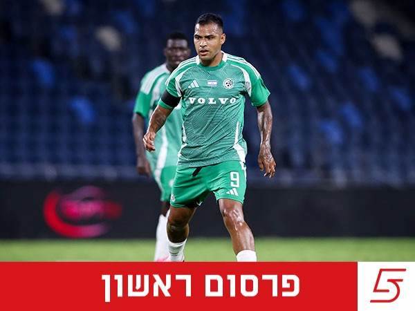(אלן שיבר)