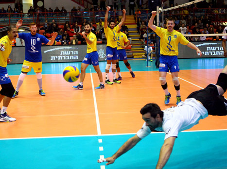 אולי תורה של מכבי ת"א (איגוד הכדורעף)