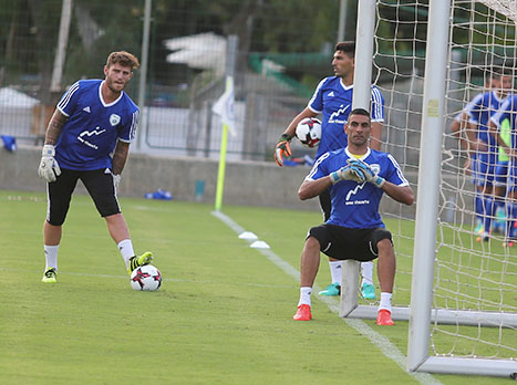 מי יהיה המחליף של גורש? (אלן שיבר)