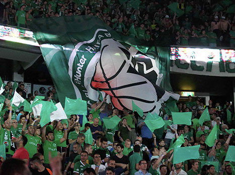 גם לירוקים היה מה להגיד בהיכל (אלן שיבר)