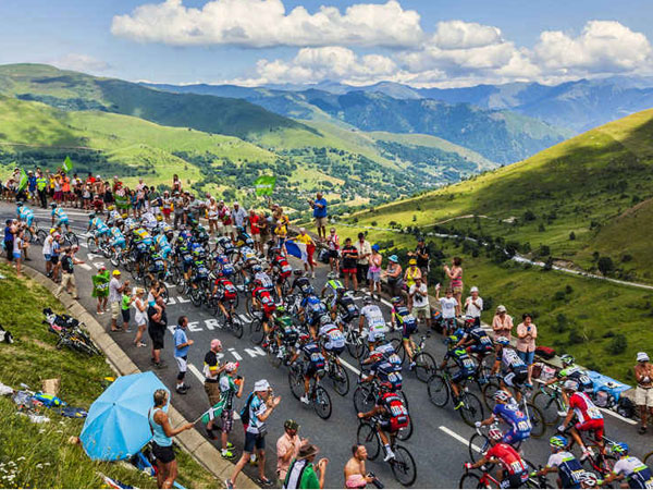 53 טיפוסים השנה (getty)