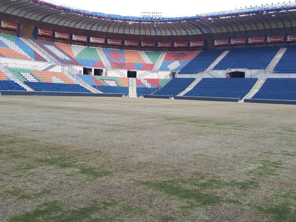 כך נראה טדי בזמן שזרוע