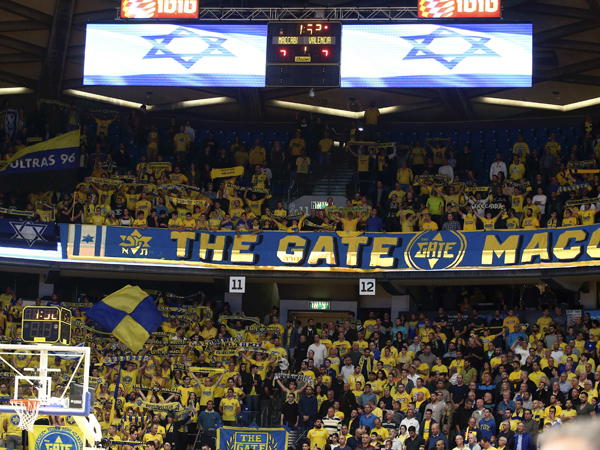 האוהדים הצהובים שוב מילאו את ההיכל (אלן שיבר)