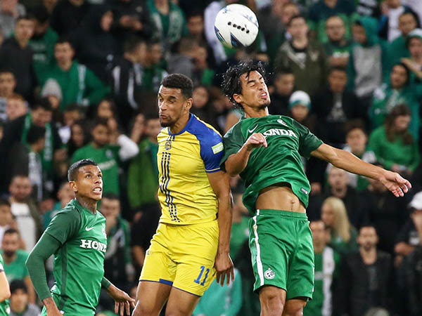 שוב לא הורגש. קהת (יוסי שקל)