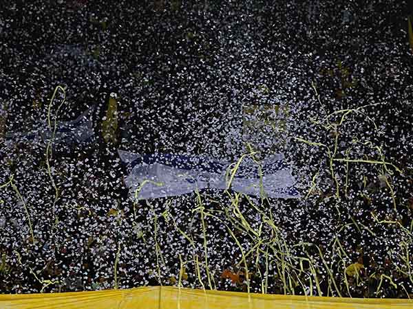 המזרחי ייסגר? (אלן שיבר)