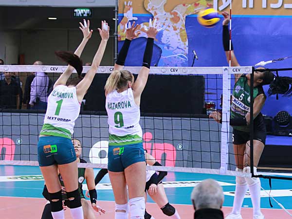 (איגוד הכדורעף)