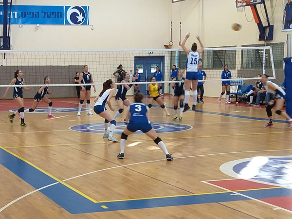 (איגוד הכדורעף)