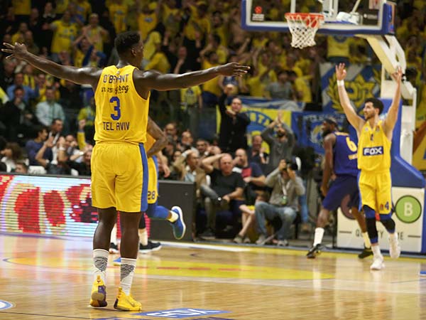 הכוכבים מתחילים להסתדר לה (אלן שיבר)