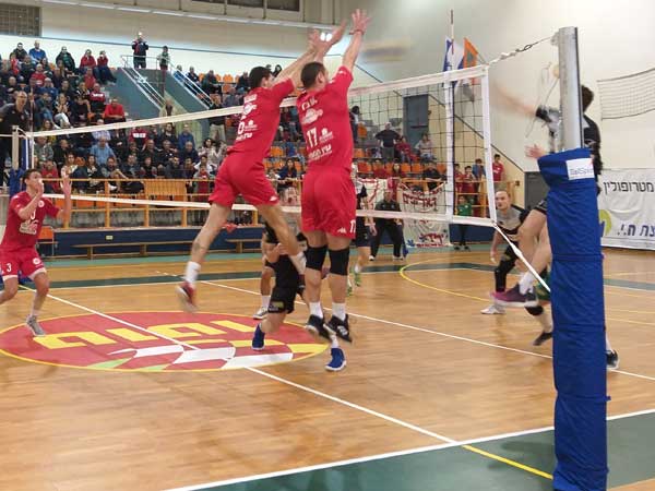 (איגוד הכדורעף)