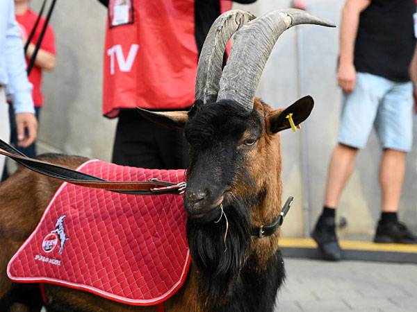 בכורה להנס התשיעי (getty)