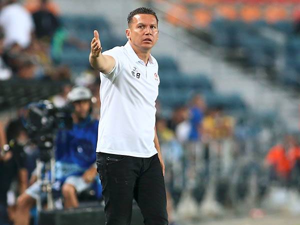 בכר. לא מחפש קשר אחורי (אלן שיבר)