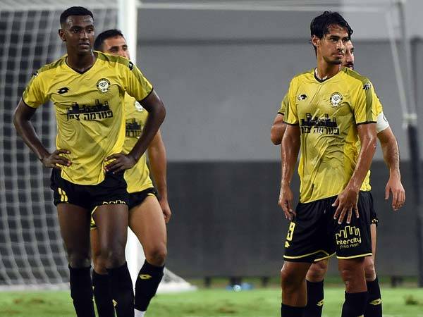 (ברני ארדוב)