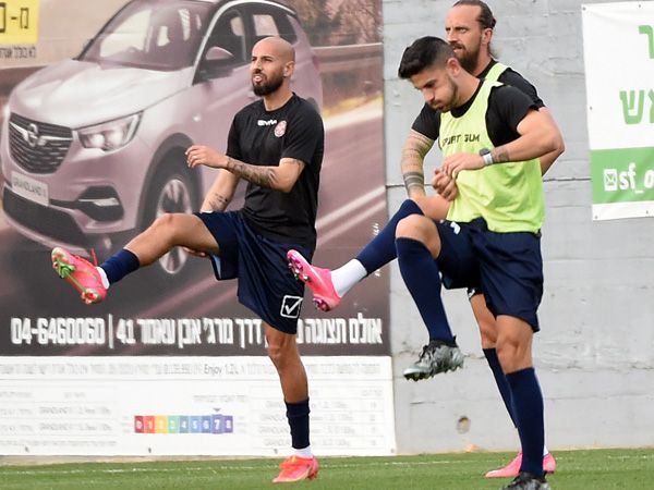 (ברני ארדוב)