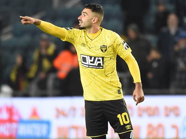 (ברני ארדוב)