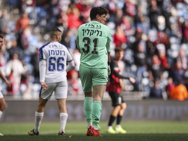 (מאור אלקסלסי)