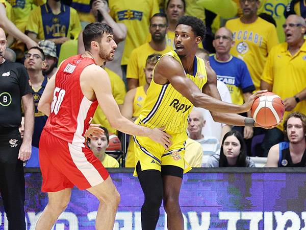 (צילום: אלן שיבר)