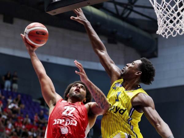 (צילום: אלן שיבר)