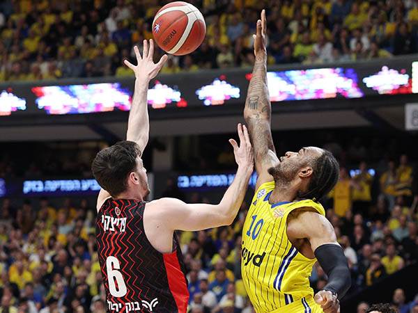 (צילום: אלן שיבר)