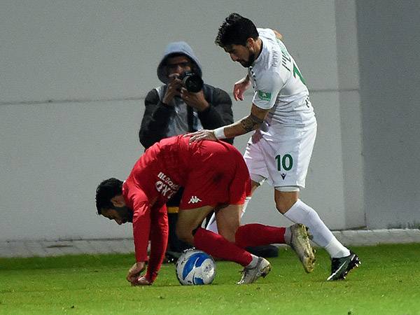 (ברני ארדוב)