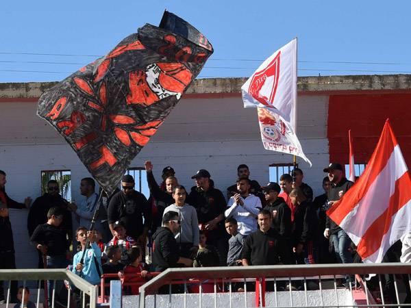 (ברני ארדוב)