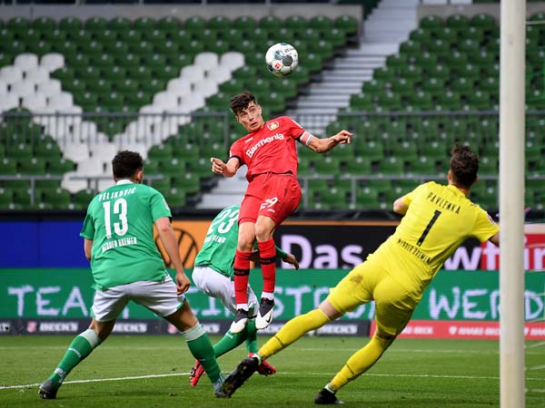 ראש הזהב של האברץ (getty)