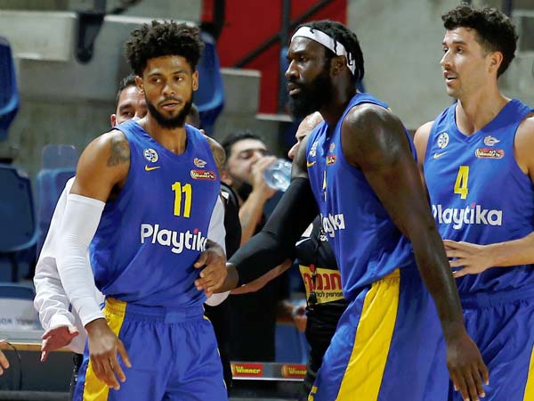 דורסי עצבני (אלן שיבר)