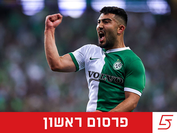 (מאור אלקסלסי)